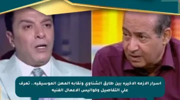 أسرار الأزمة الأخيرة بين طارق الشناوي ونقابة المهن الموسيقية.. تعرف على التفاصيل وكواليس الأعمال الفنية